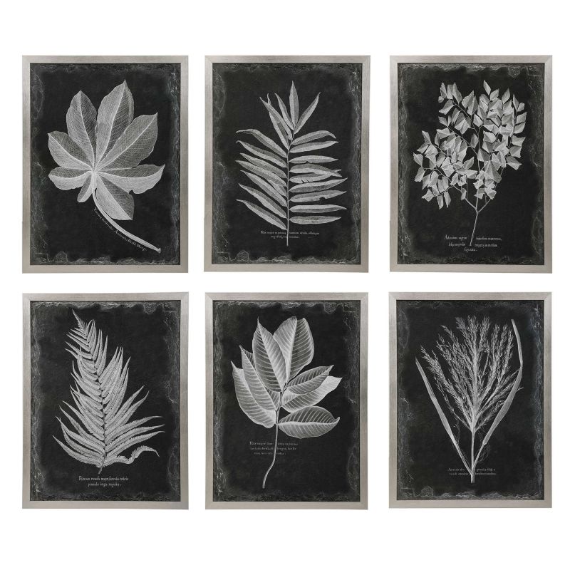 Uttermost Foliage Framed Prints  6個組